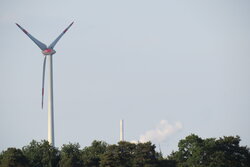 IMG_8517 IMG_8517