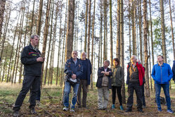 20190926 Wald 20190926 Wald